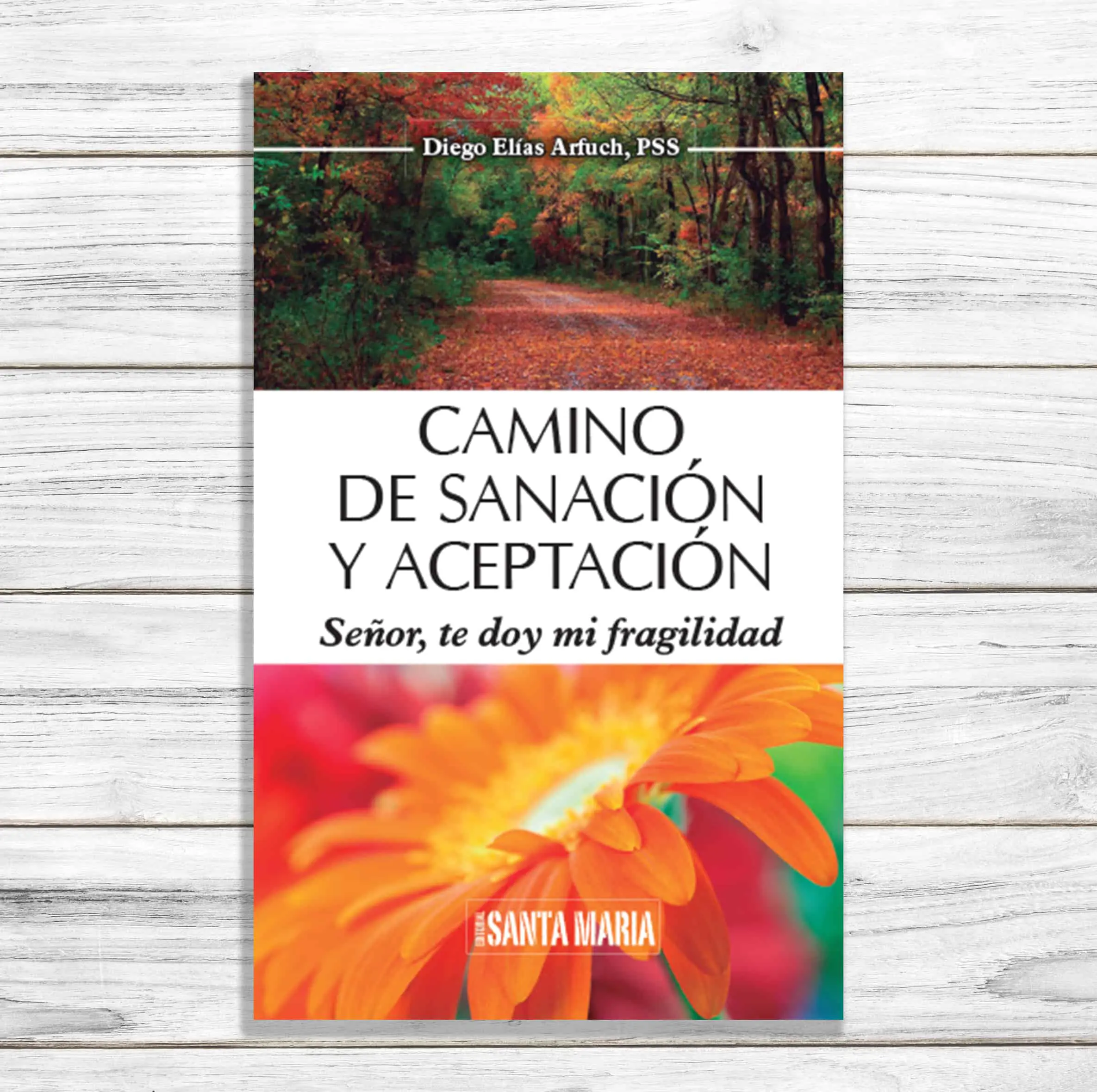 Camino de sanación y aceptación Señor, te doy mi fragilidad