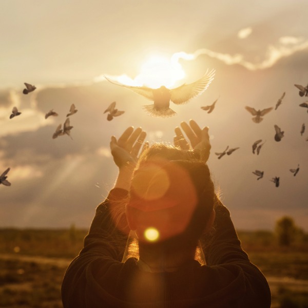6º Domingo de Pascua 2026 | El Espíritu de Verdad y la promesa de Jesús
