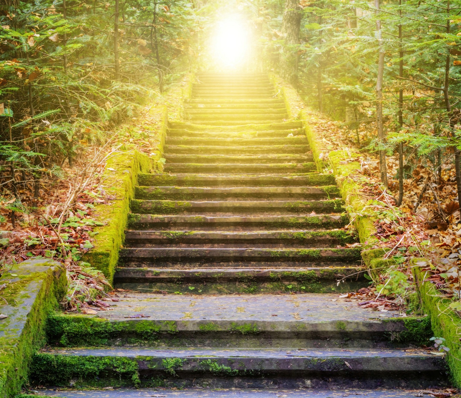 Reflexión espiritual para el 13º Domingo del Tiempo Ordinario (28 de junio de 2026). Descubre el sentido del verdadero amor, de la acogida y de la vida nueva en Cristo Jesús.